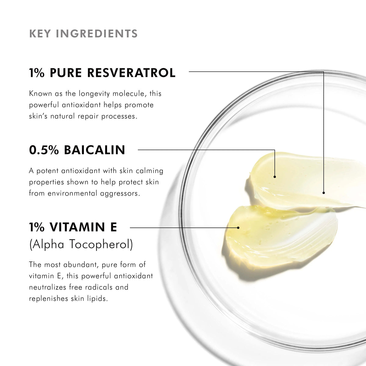 Resveratrol B E from SkinCeuticals Availble To Purchase Online from The Remedy Lounge in Cornwall, ON