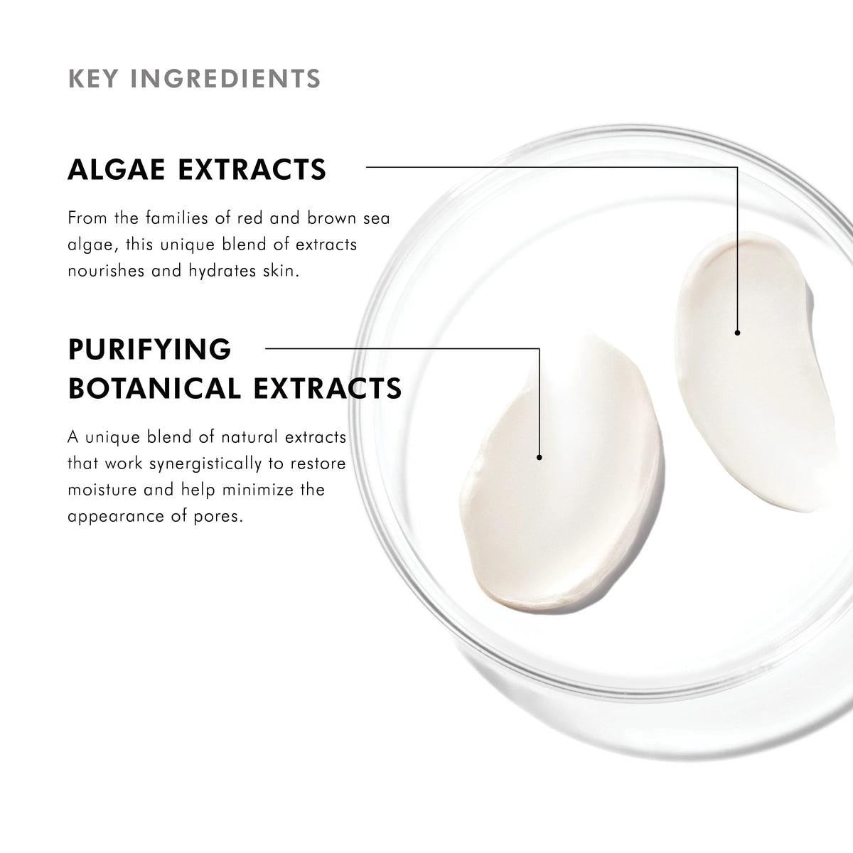 Daily Moisture from SkinCeuticals Availble To Purchase Online from The Remedy Lounge in Cornwall, ON